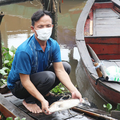 Người nuôi cá vược ở Thạch Sơn nóng lòng tìm đầu ra